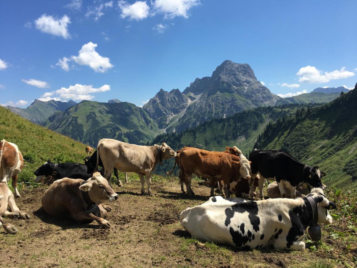 Bergfex Gaisalphorn Mit Sommer-Bergbahnticket Oberstdorf Esterno foto