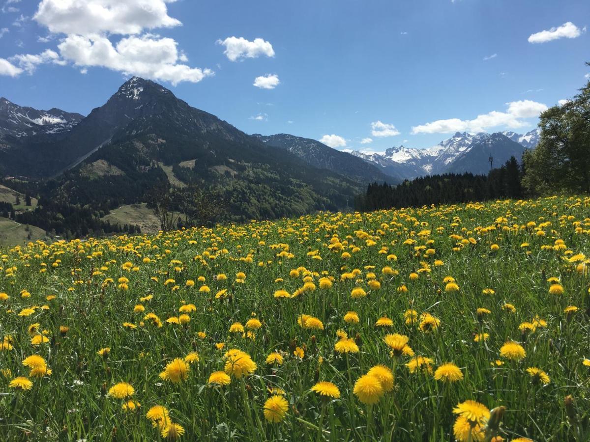 Bergfex Gaisalphorn Mit Sommer-Bergbahnticket Oberstdorf Esterno foto